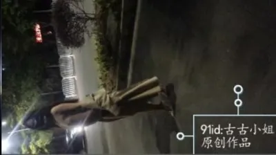 [原创] 网红女神古古小姐深夜马路车前露出