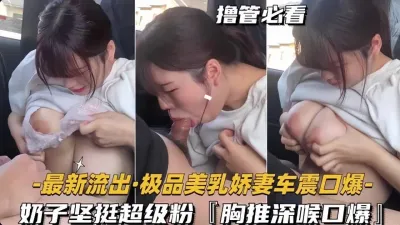 [付费] 车震乳爆极品人妻（完整版看间芥）