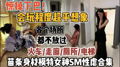 [付费] 女神都有不为人知的一面！SM各种场合超会玩『全集95分钟看下面简阶』