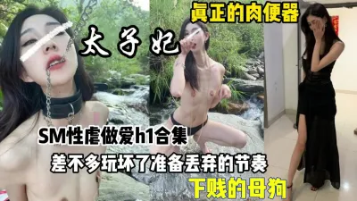 [付费] SM性虐做爱合集！母狗太子妃各种露脸调教差不多丢【狠货高科技看简阶】